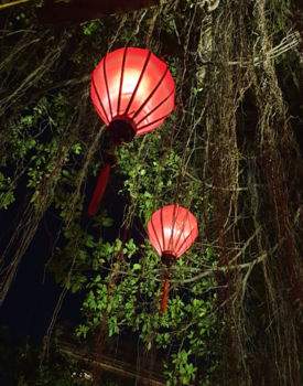 Rondreis Vietnam in vier weken - Prachtig Hoi an  Vietnam