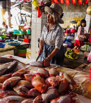 Hoi An - Seems a bit fishy to me.