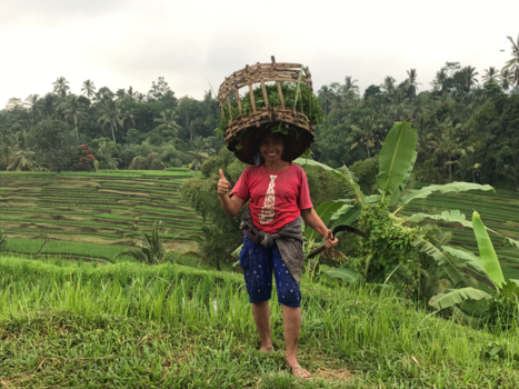Thailand - Vrolijjke  Balinese vrouw bij Jatiluwih rijstvelden Bali.