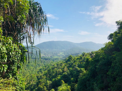 Thailand - A real green holiday ‘highlight’