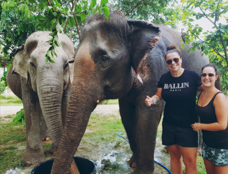Thailand - Oog in oog met zo'n machtig dier!
