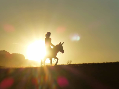 Jordanië - 650 km met mijn ezel door Jordanie