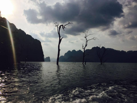Khao Sok National Park - Khao Sok N.P. Thailand