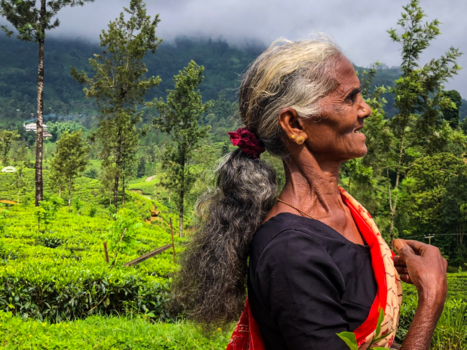 Sri Lanka - Beautiful, pure and serenity