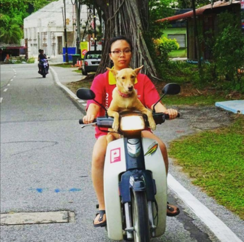 Pulau Pangkor - Ride like a dog