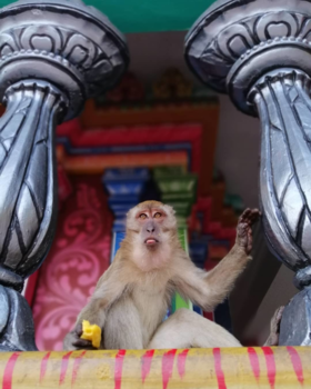 Maleisië - Temples in Kuala Lumpur