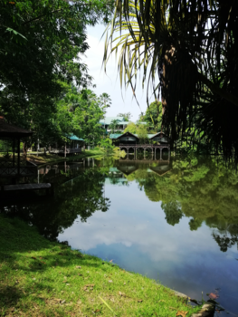 Maleisië - Rainforest Discovery Centre