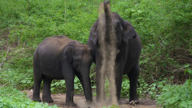 India - Moeder en dochter