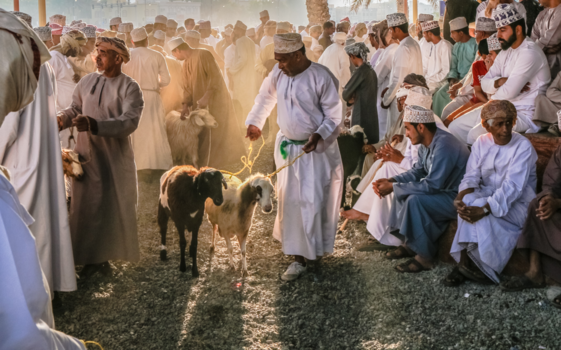 Oman - Een waar geitenspektakel!
