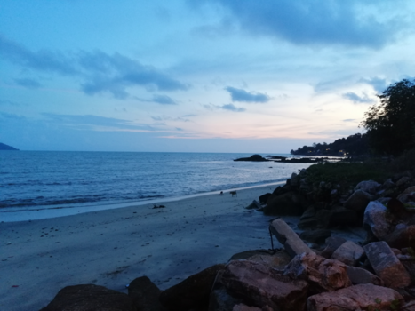 Maleisië - No street dogs, only beach dogs.