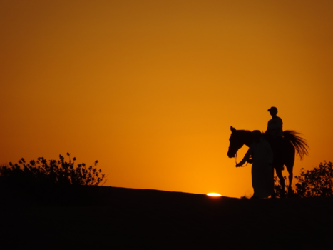 Al Maha-woestijn - Sunset in Dubai Desert