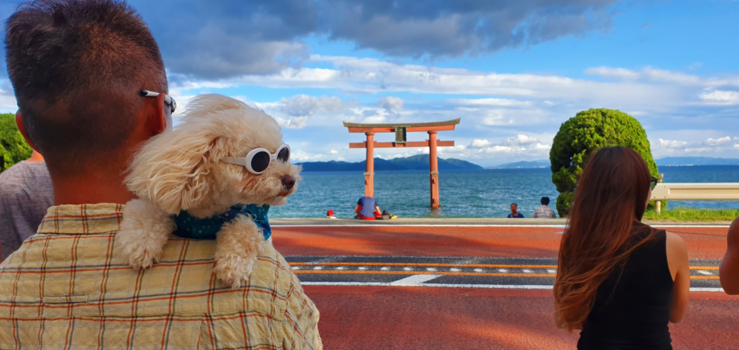 Japan - Japan de gekste dingen