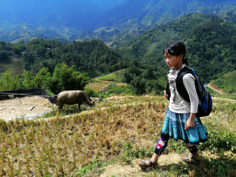 Vietnam - Mooie natuur in sapa