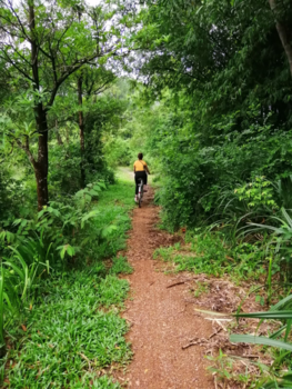 Vietnam - Fietsen in de natuur