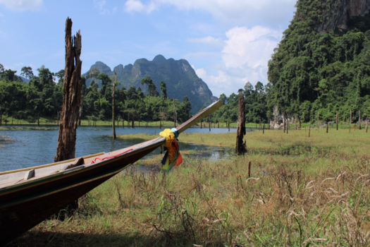 Rondreis Thailand in twee weken