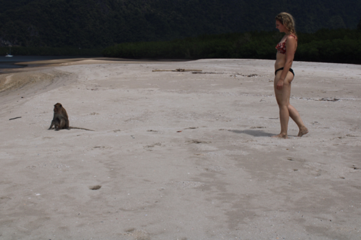 Rondreis Thailand in twee weken