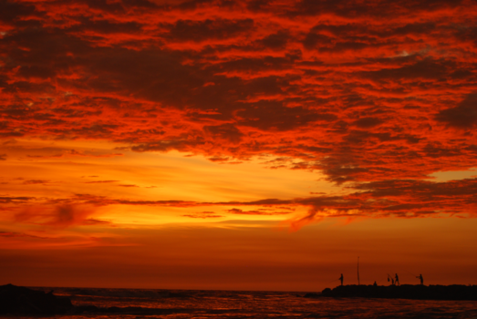 Sri Lanka - Fishing in Sri Lanka