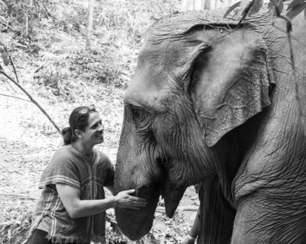 Chiang Mai - Elephant Sanctuary