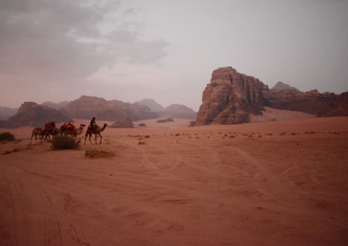 Jordanië - Wadi rum desert
