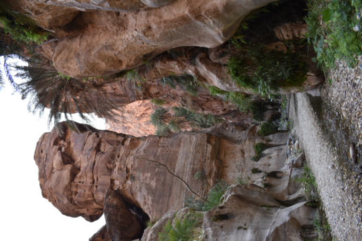 Jordanië - Wadi ghuweir