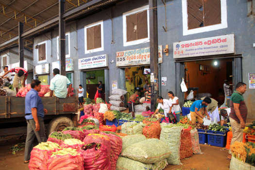 Sri Lanka - Proef de smaken van Sri Lanka