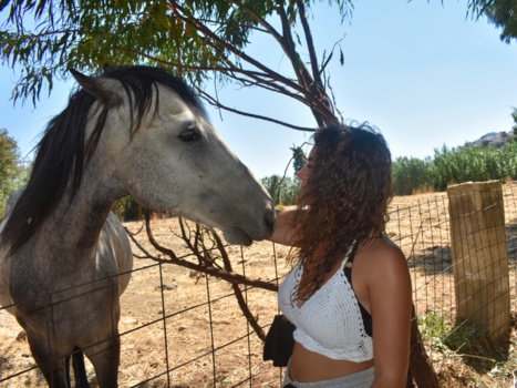 Mongolië - Vriendschap