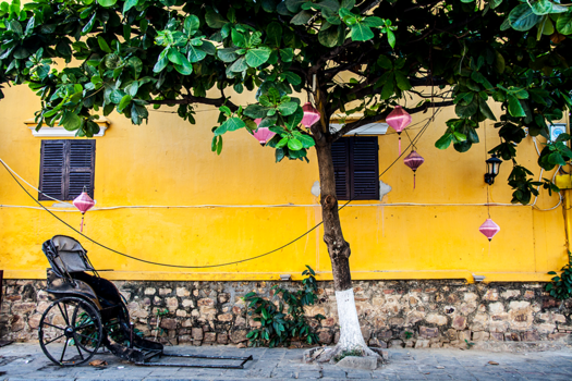 Hoi An - Yellow Tree