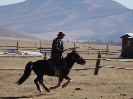 Gobiwoestijn - Mega mooi Mongolie