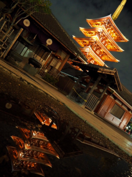 Tokio - Na typhoon Hagibis volgt een prachtige reis door Japan