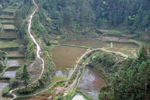 China - China de rijstvelden