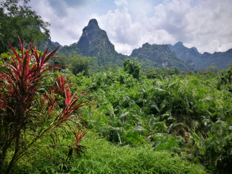 Rondreis Thailand in twee weken - I dreamed a dream