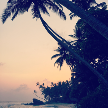 Sri Lanka - Sri Lanka Unawatuna