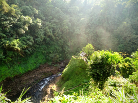 Pakse - Green valley