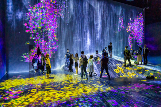 Japan - TeamLab Borderless tentoonstelling in Tokio