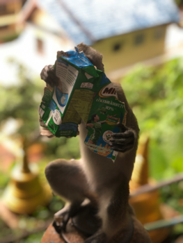 Thailand - Tiger Cave Temple, helaas ruimen toeristen niet alles op 😔