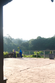 Taman Negara National Park - The power of you