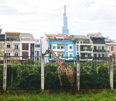 Vietnam - Another point of view