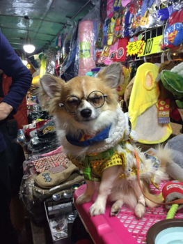 Hong Kong - Nightmarket