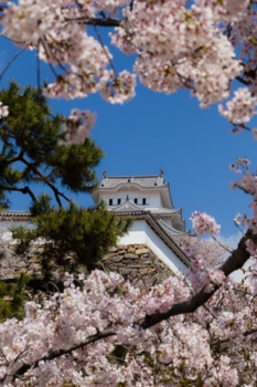 Japan - Kasteel Himeiji