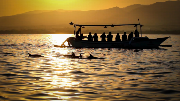 Indonesië - watching the dolphins at sunrise