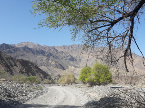 Oman - dirtroad omgeving Jebel Shams