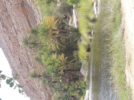Oman - Wadi