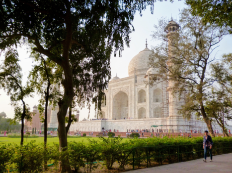 Taj Mahal - taj mahal  in namiddag licht