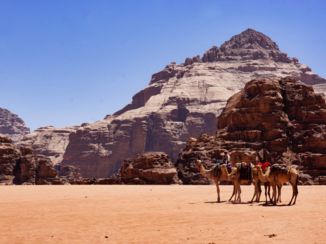 Wadi Rum - Life in Wadi Rum