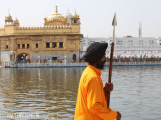 Amritsar - De bewaker van deze prachtige tempel
