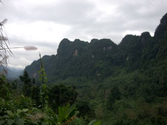 Phong Nha-Ke Bang National Park - 570e58d4c9ef5.jpg
