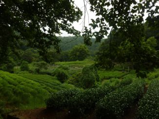 Hangzhou en West Lake