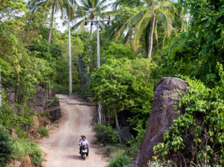 Koh Tao