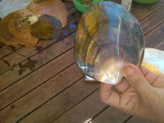 Phu Quoc Island - Parelvisser uitleg