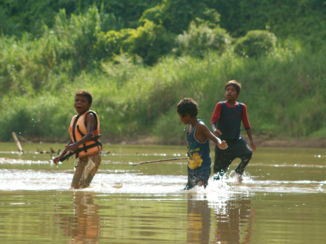 Taman Negara National Park - Taman Negara Jungle